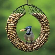 We Feed Birds - Peanut Ring Feeder